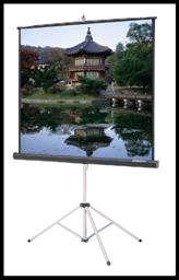 Dalight Fastfold framed projection screen in a room