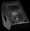 12" stage monitor